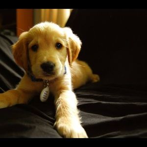 Meet your Posher, Mike